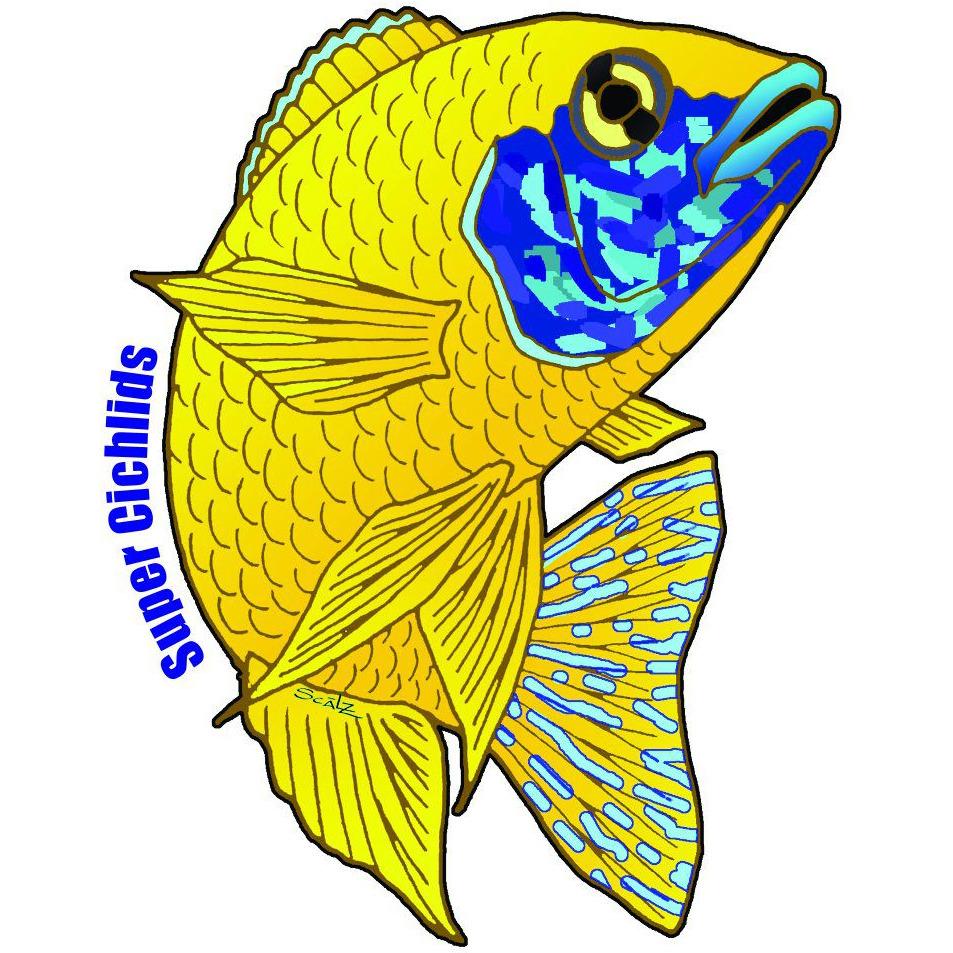 Super Cichlids Logo 6" Die Cut Sticker Super Cichlids