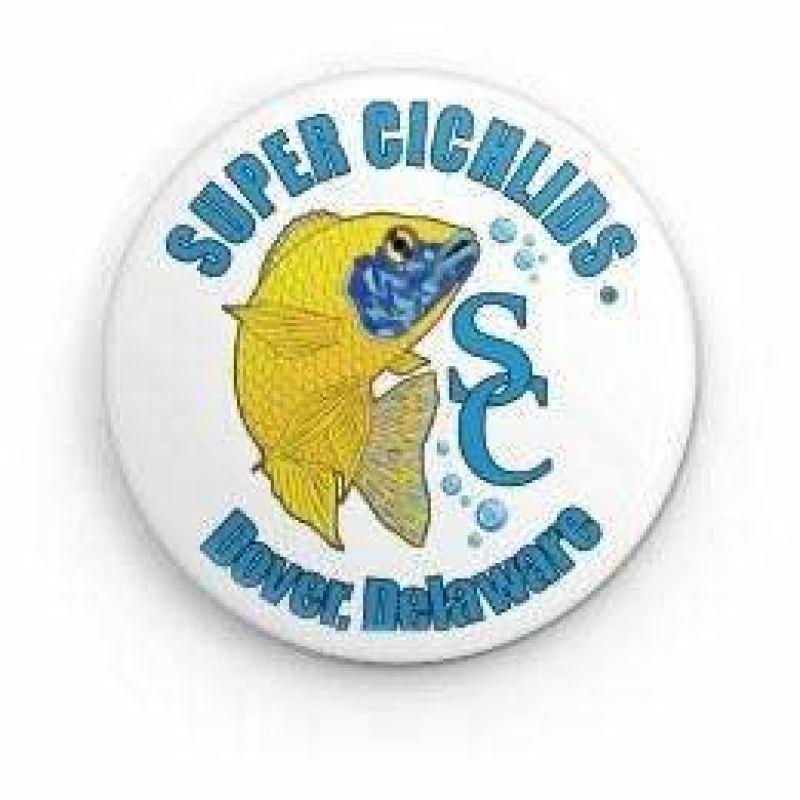 Super Cichlids Pin Super Cichlids