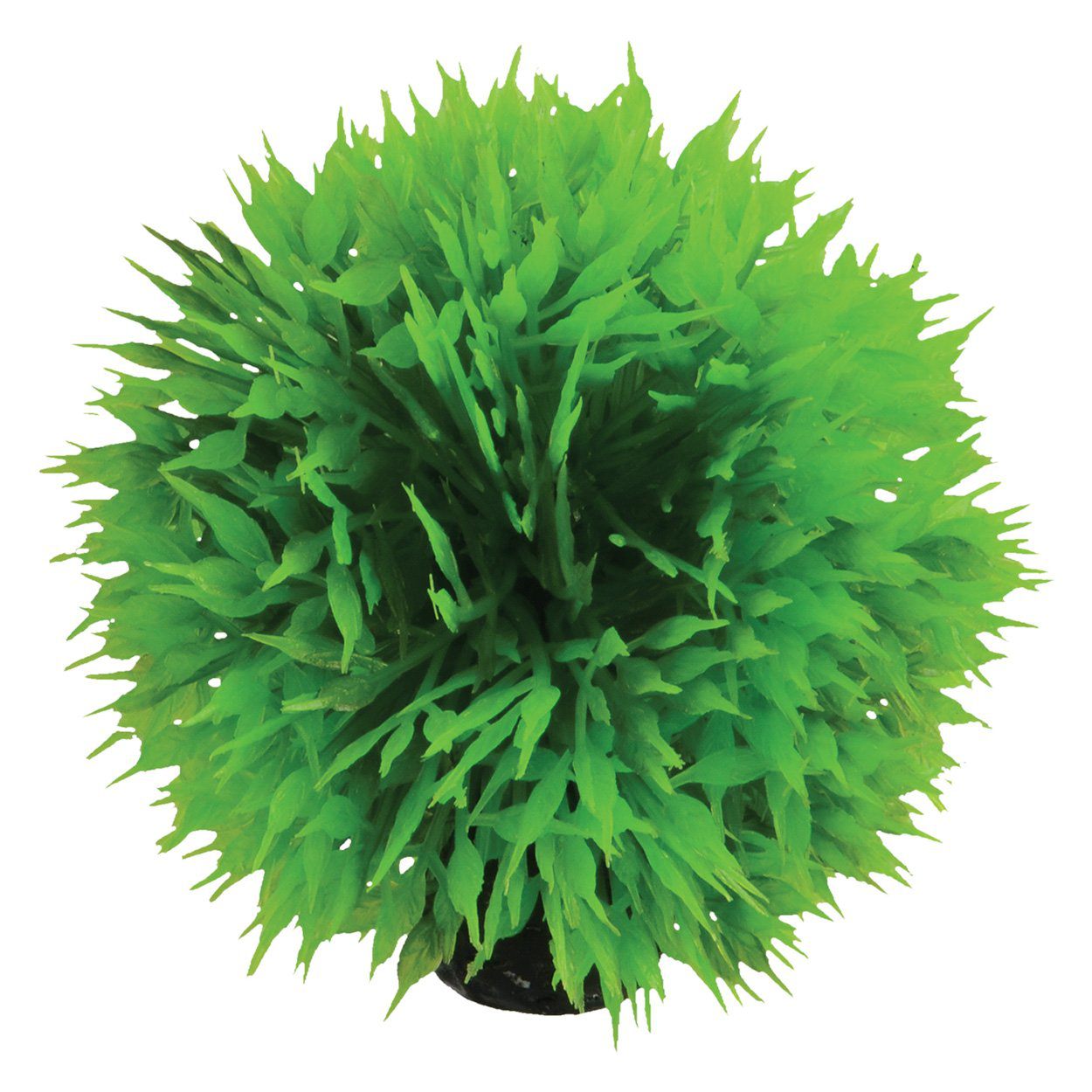 Underwater Treasures | Grass Ball 2.5" 628742015795 Super Cichlids