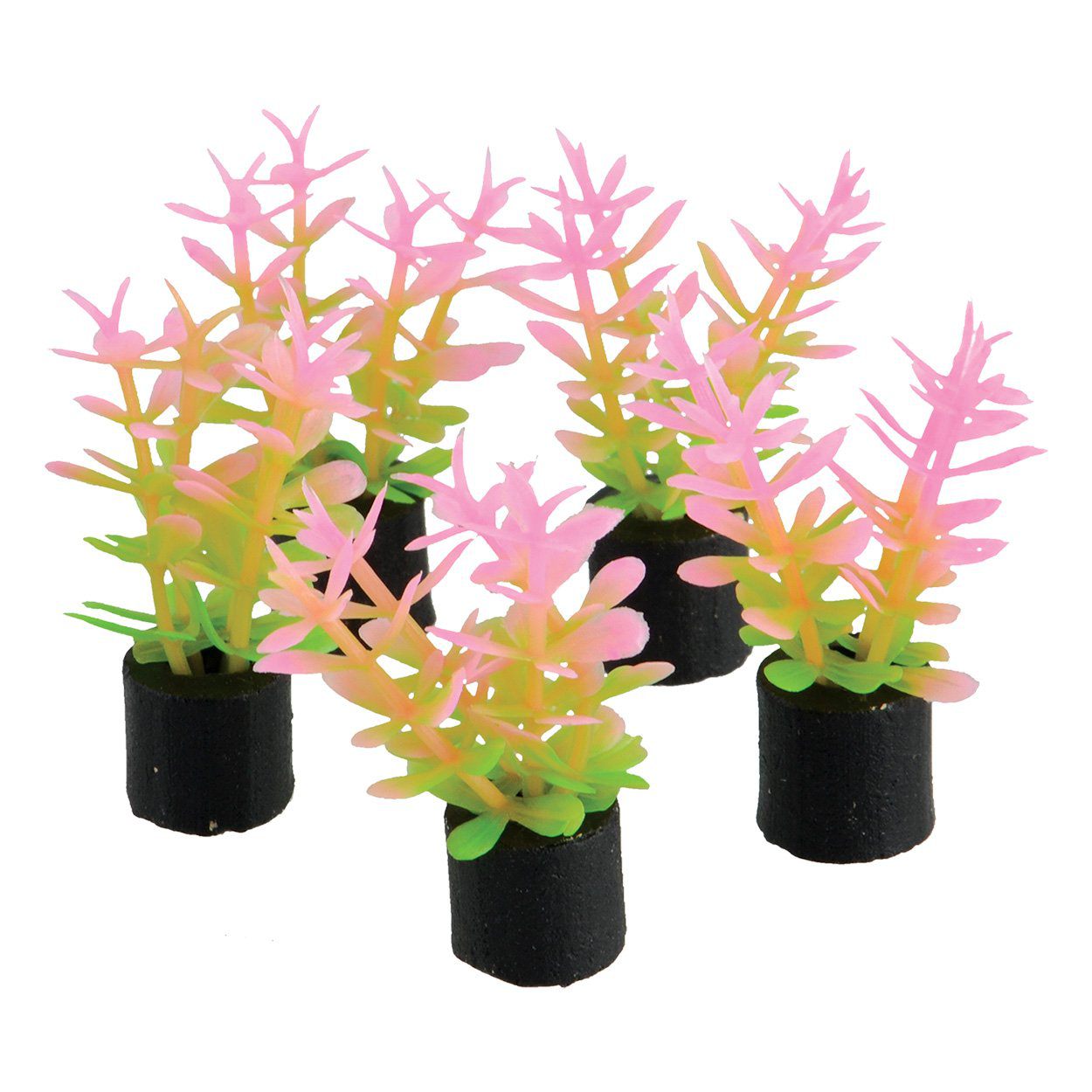 Underwater Treasures | Mini Plant - Pink And Green - 1.5" - 5 pk 628742014392 Super Cichlids