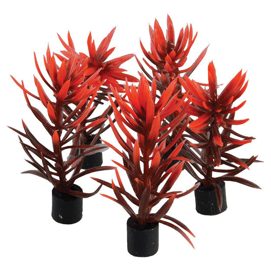Underwater Treasures | Mini Plant - Red And Brown - 3" - 5 pk 628742014446 Super Cichlids