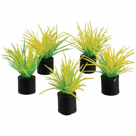 Underwater Treasures | Mini Plant - Spring Grass - 1.25" - 5 pk 628742014354 Super Cichlids