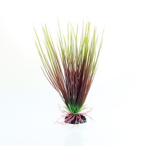 Underwater Treasures | Red/Green Hairgrass 8" 628742004881 Super Cichlids