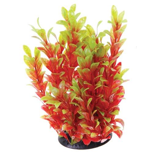 Underwater Treasures | Red Ludwigia 10" 628742002733 Super Cichlids