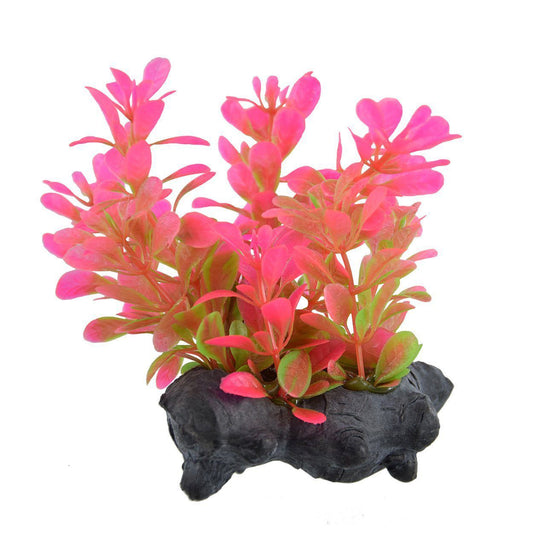 Underwater Treasures | Red Moneywort 3" 628742000593 Super Cichlids