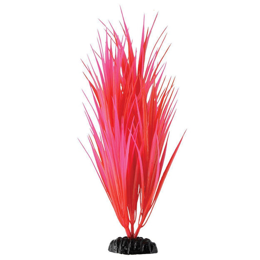 Underwater Treasures | Rose Nile Grass 11.5" 628742015603 Super Cichlids