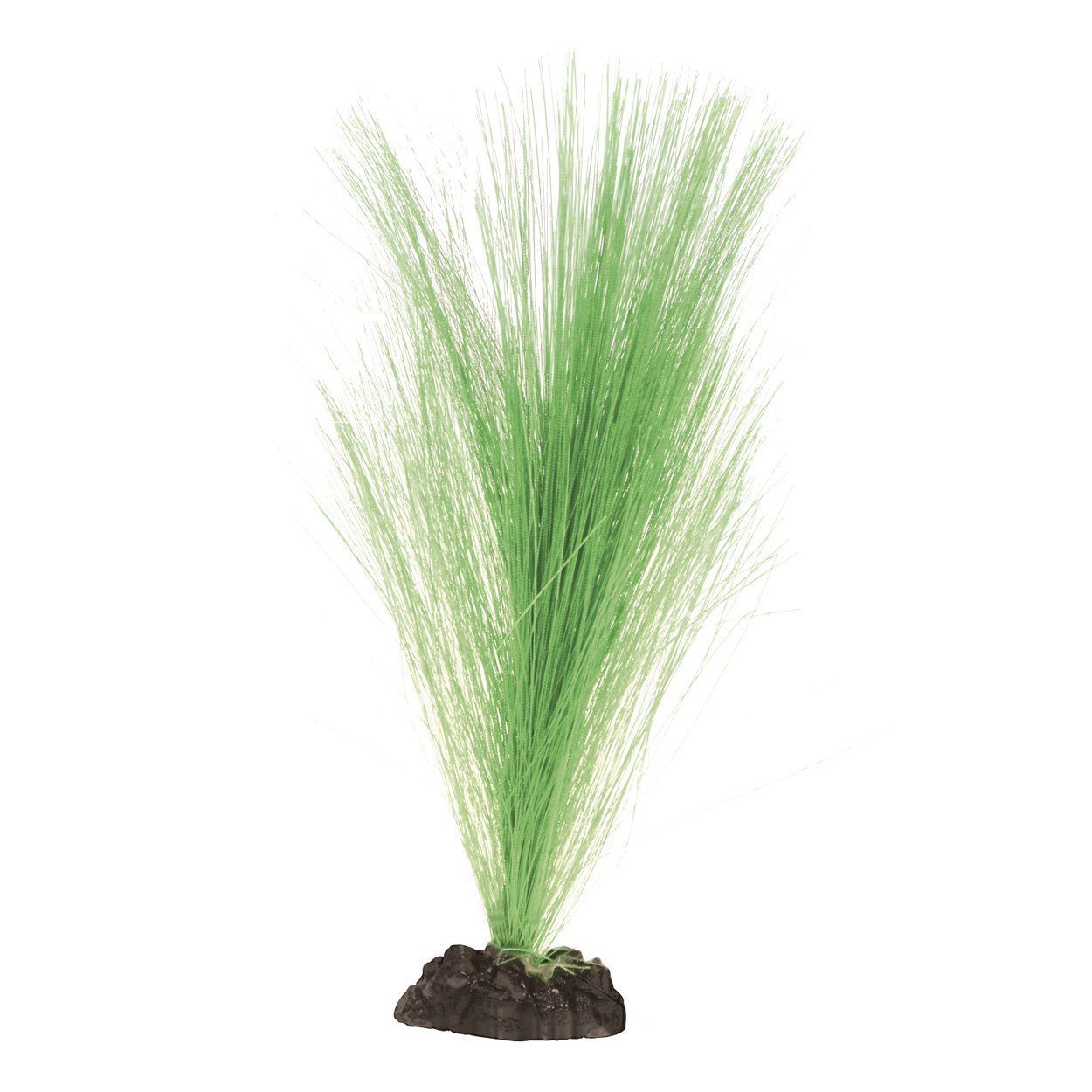 Underwater Treasures | Silk Hairgrass 8" - Green
